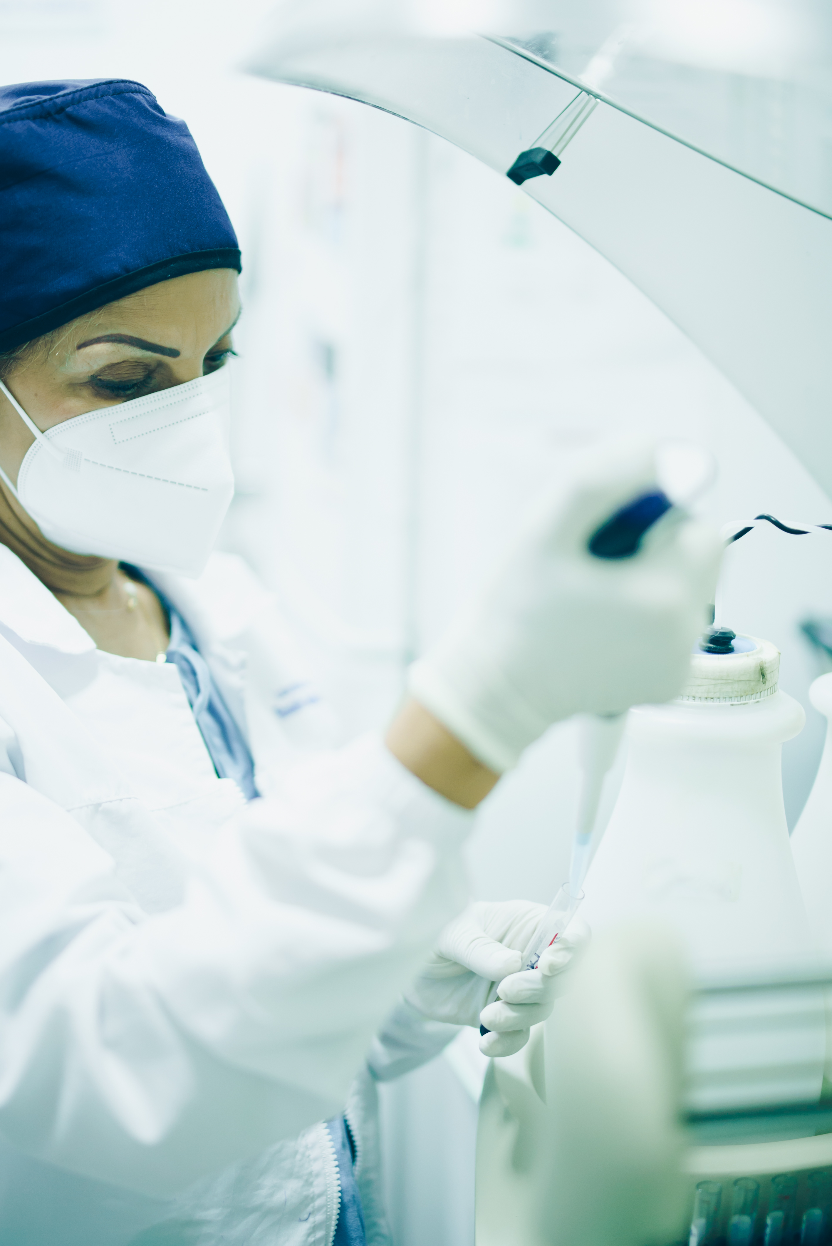 Diagnósticos Rápidos